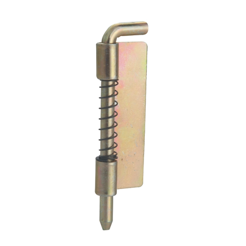 Modern Design Zinc Alloy Spring-Loaded Pivot Shower Door Hinge Industrial Cabinet Door & Window Hinge